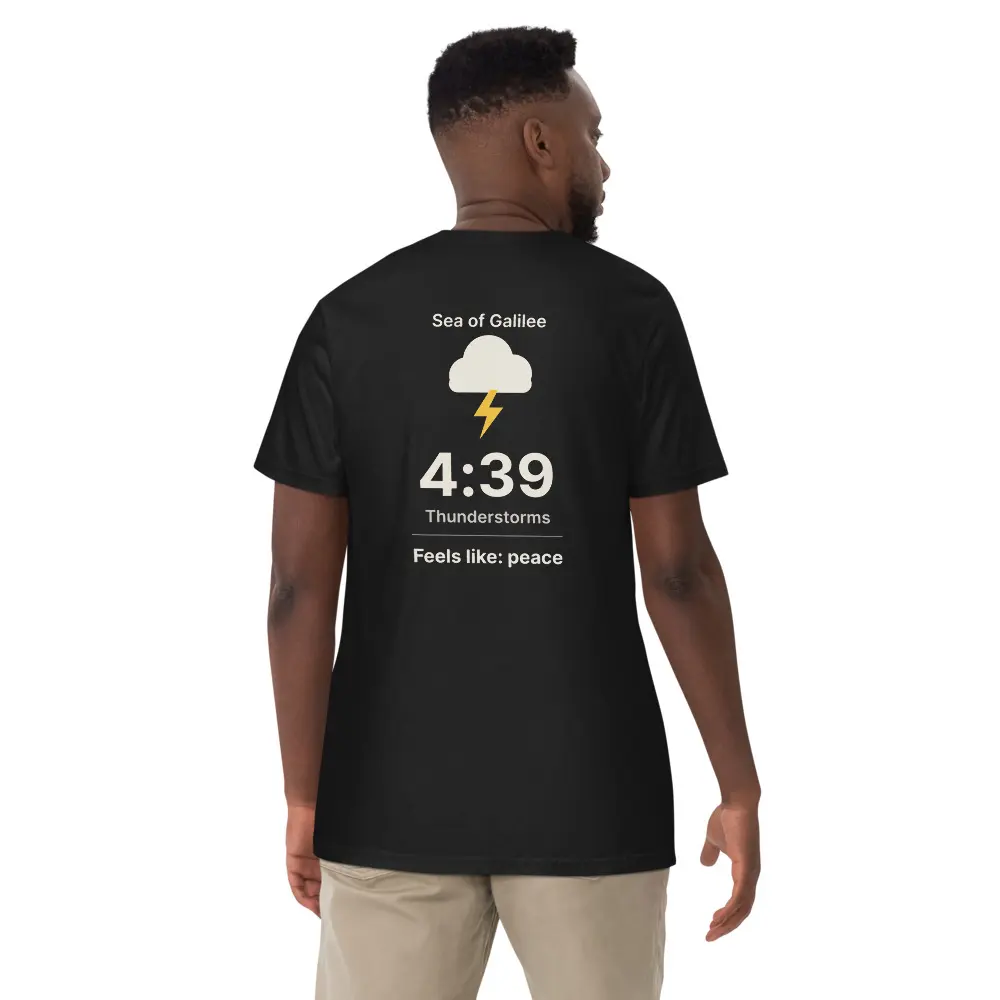 The Forecast Tee, back