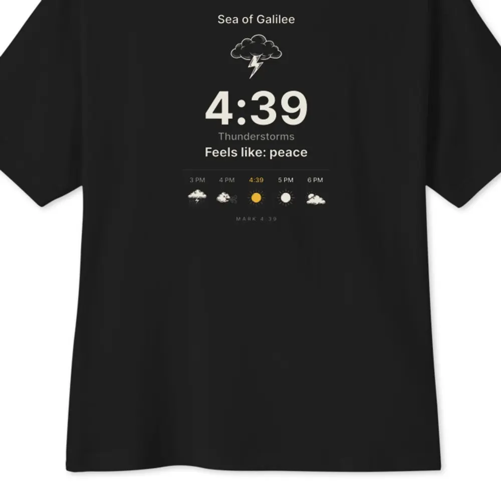 The Forecast Oversized Tee, back